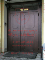 Металлическая дверь с филенками и стеклянной фрамугой