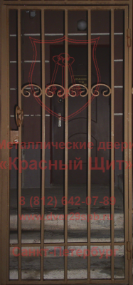 1 Железная  дверь-решетка