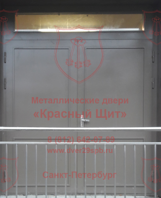 Металлическая дверь с филенками и стеклянной фрамугой